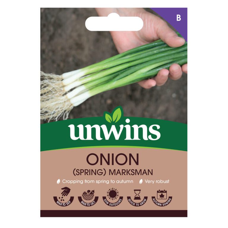 5051618040945 1 Spring Onion Marksman Seeds.jpg
